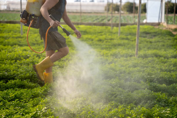 Best Residential Pest Control  in Swedeland, PA